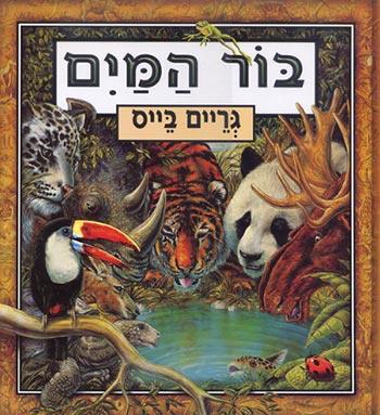 בור המים