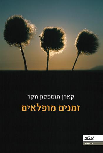 זמנים מופלאים