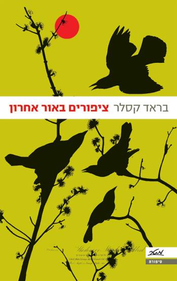 ציפורים באור אחרון